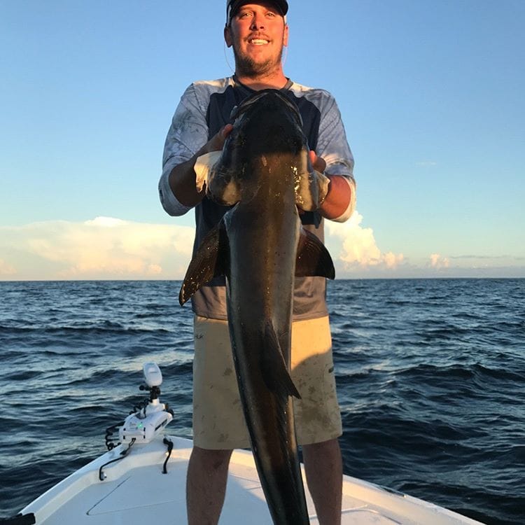 Thank You 3 Fishing trip in Perdido Key on charter boat