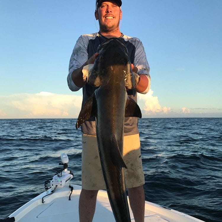 Fishing trip in Perdido Key on charter boat