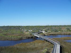 Rock Bottom Charters 12350 Gulf Beach Hwy Pensacola, Florida, 32507  (850) 221-6254