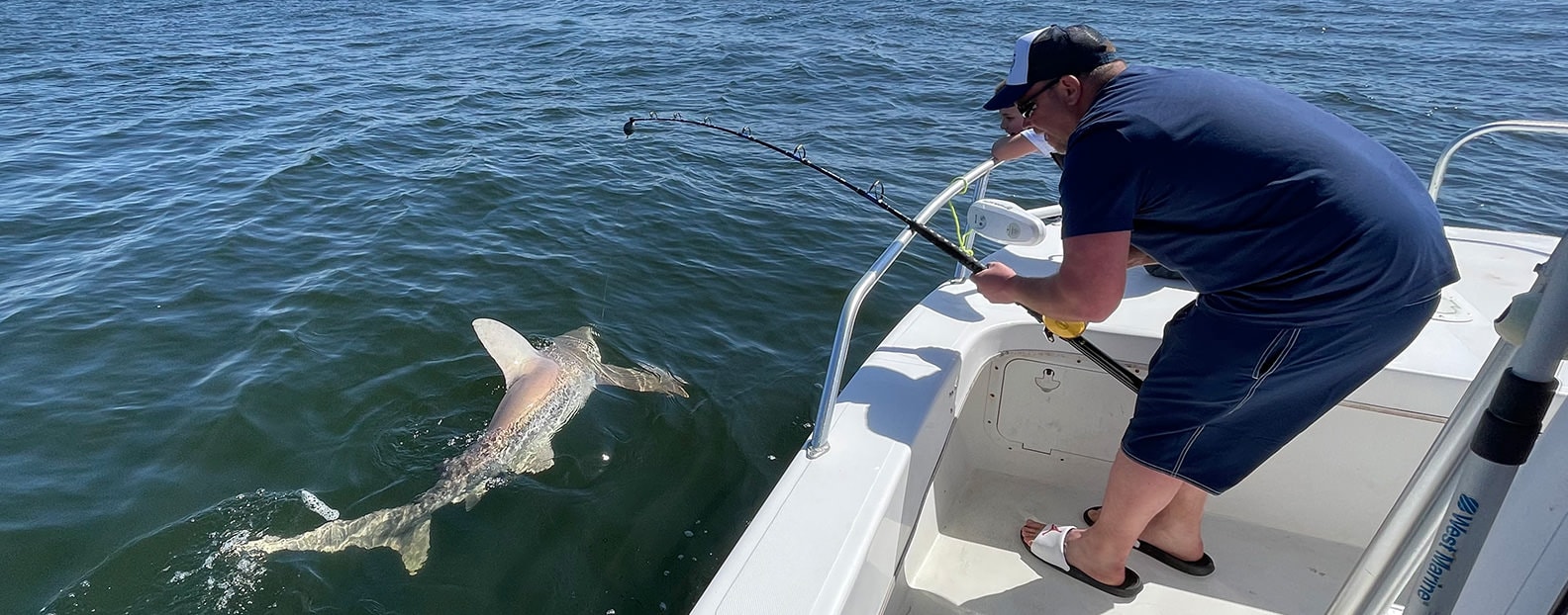 Shark Fishing Charters  Pensacola, Perdio Key, Orange Beach