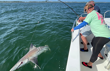 Shark Fishing Trip Pensacola Florida